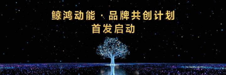 鲸鸿动能·品牌共创计划发布 多项权益助力品牌激发无限潜能